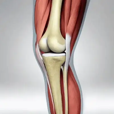 Massageador de joelho Wellness Waves KneeRelief